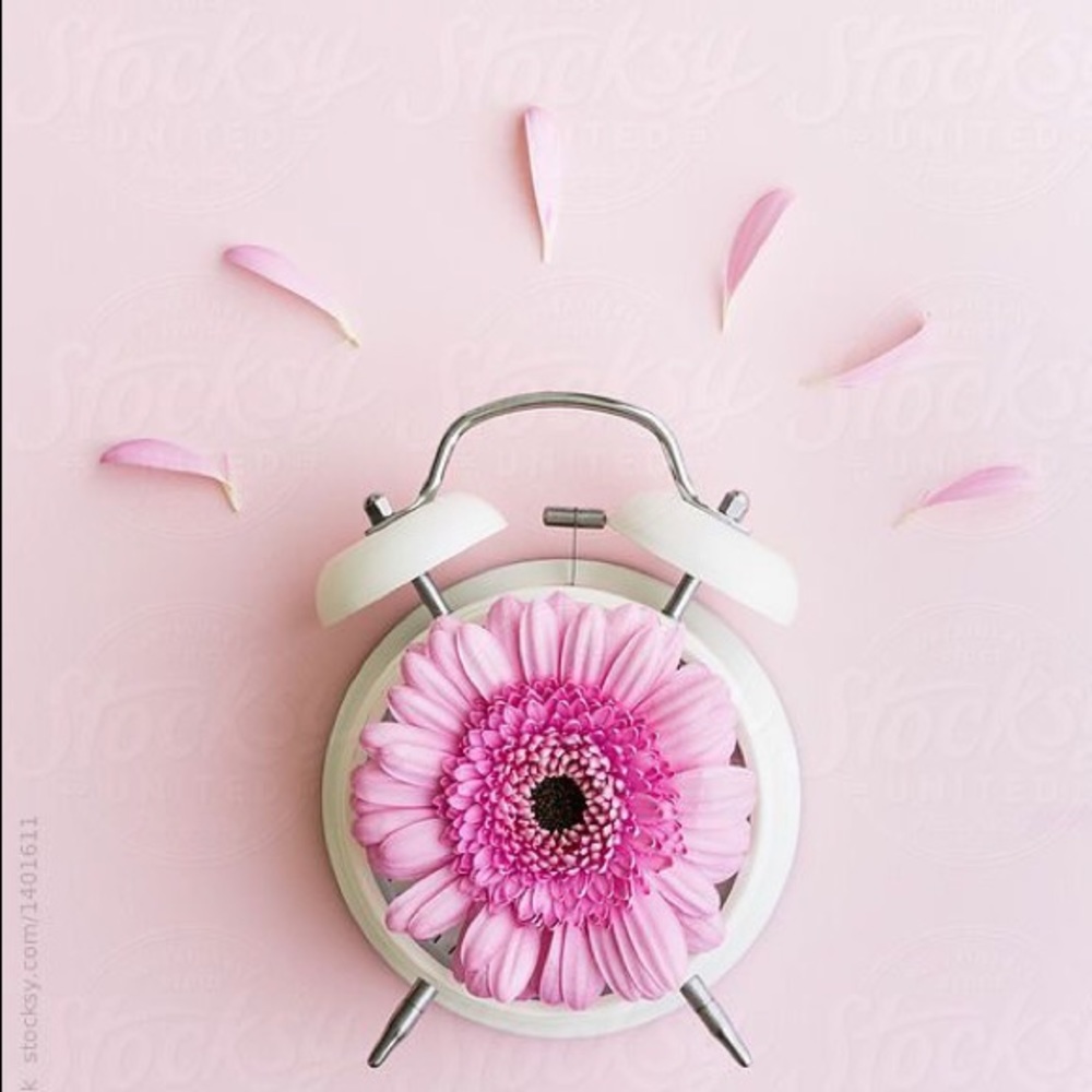 Meet your Posher, Jaclyn